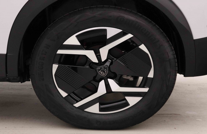 PEUGEOT_PEUGEOT_E_2008_2652306_21.jpg PEUGEOT_PEUGEOT_E_2008_2652306_21.jpg