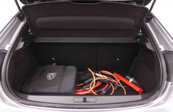 PEUGEOT_PEUGEOT_E_208_2550757_5.jpg