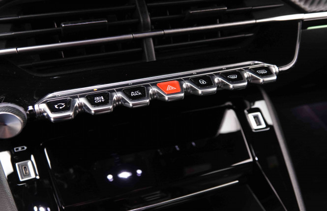PEUGEOT_PEUGEOT_E_208_2550759_13.jpg