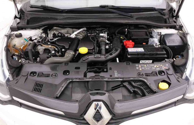 RENAULT_RENAULT_CLIO_2236886_19.jpg