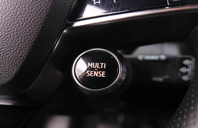 RENAULT_RENAULT_MEGANE_2549098_20.jpg