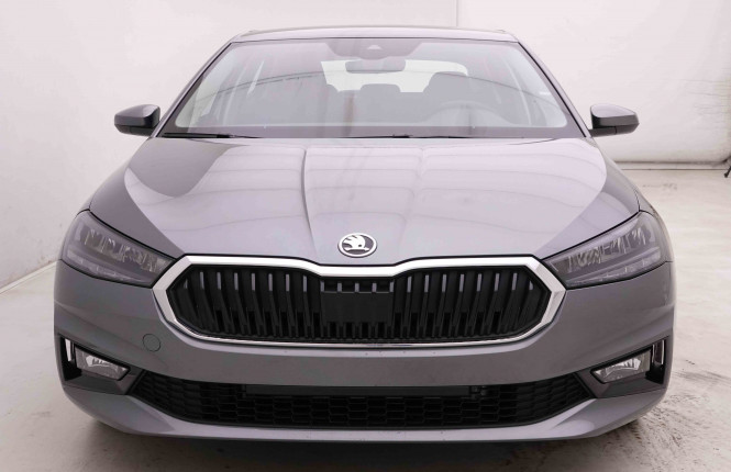 SKODA_SKODA_FABIA_2549302_22.jpg