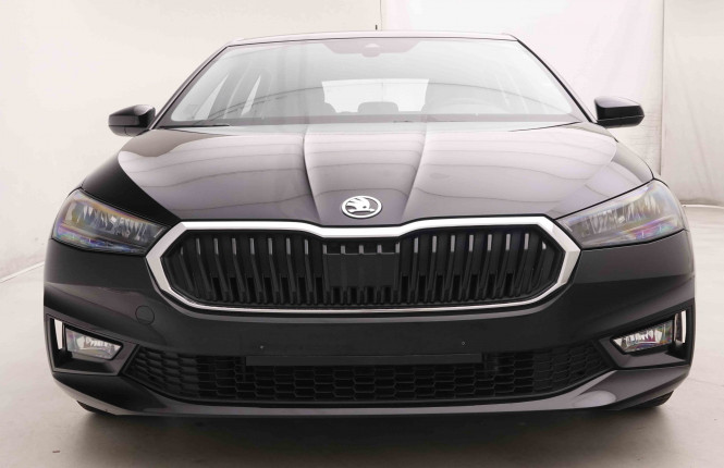 SKODA_SKODA_FABIA_2549907_25.jpg