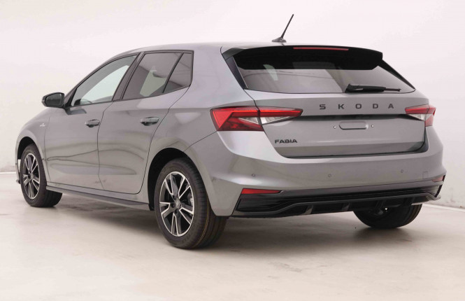 SKODA_SKODA_FABIA_2550201_30.jpg