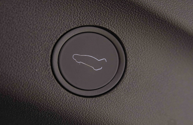 TESLA_TESLA_MODEL Y_2549374_6.jpg