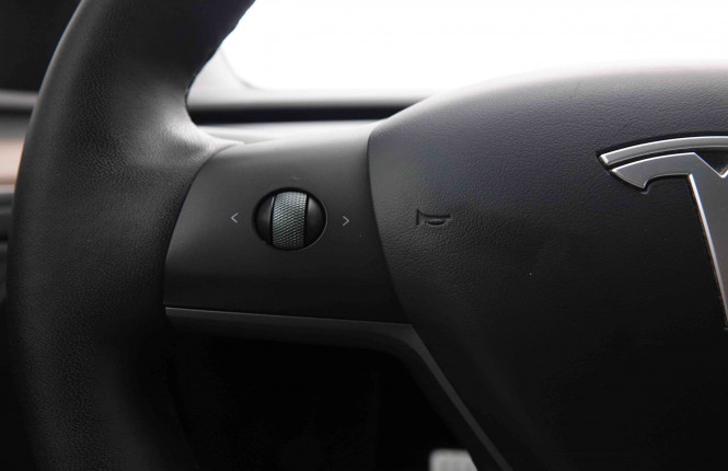 TESLA_TESLA_MODEL Y_2549379_19.jpg