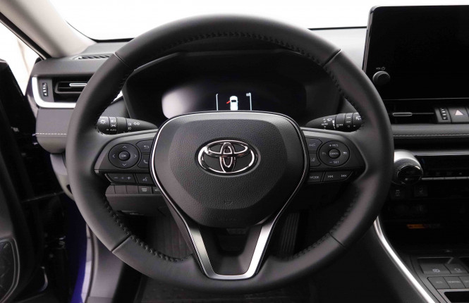 TOYOTA_TOYOTA_RAV4_2653015_9.jpg