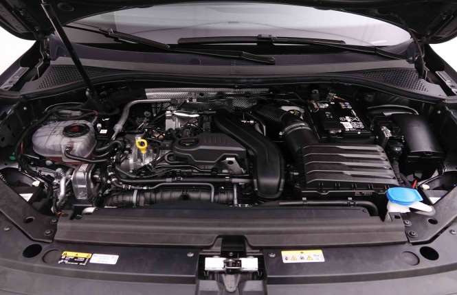 VOLKSWAGEN_VOLKSWAGEN_TIGUAN_2549597_23.jpg