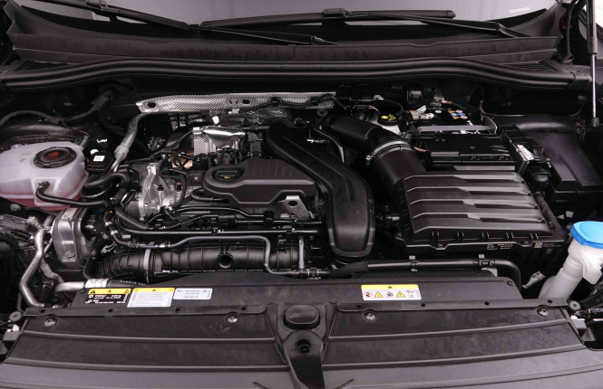 VOLKSWAGEN_VOLKSWAGEN_TIGUAN_2550656_26.jpg