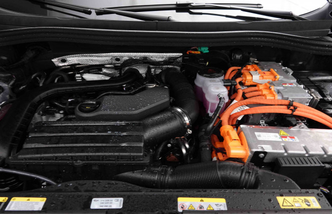 VOLKSWAGEN_VOLKSWAGEN_TIGUAN_2653514_24.jpg