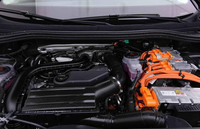 VOLKSWAGEN_VOLKSWAGEN_TIGUAN_2654136_24.jpg